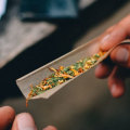 Do raw papers have tobacco in them?